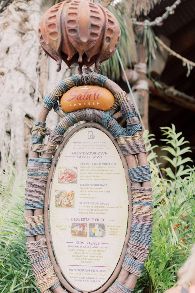 Our Favorite Spot to Eat a Quick Lunch in Animal Kingdom | Laid-back Magic