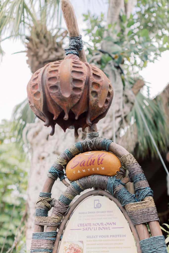 Our Favorite Spot to Eat a Quick Lunch in Animal Kingdom | Laid-back Magic