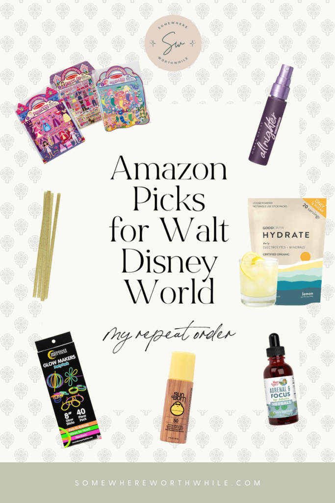 Disney World Packing on Amazon