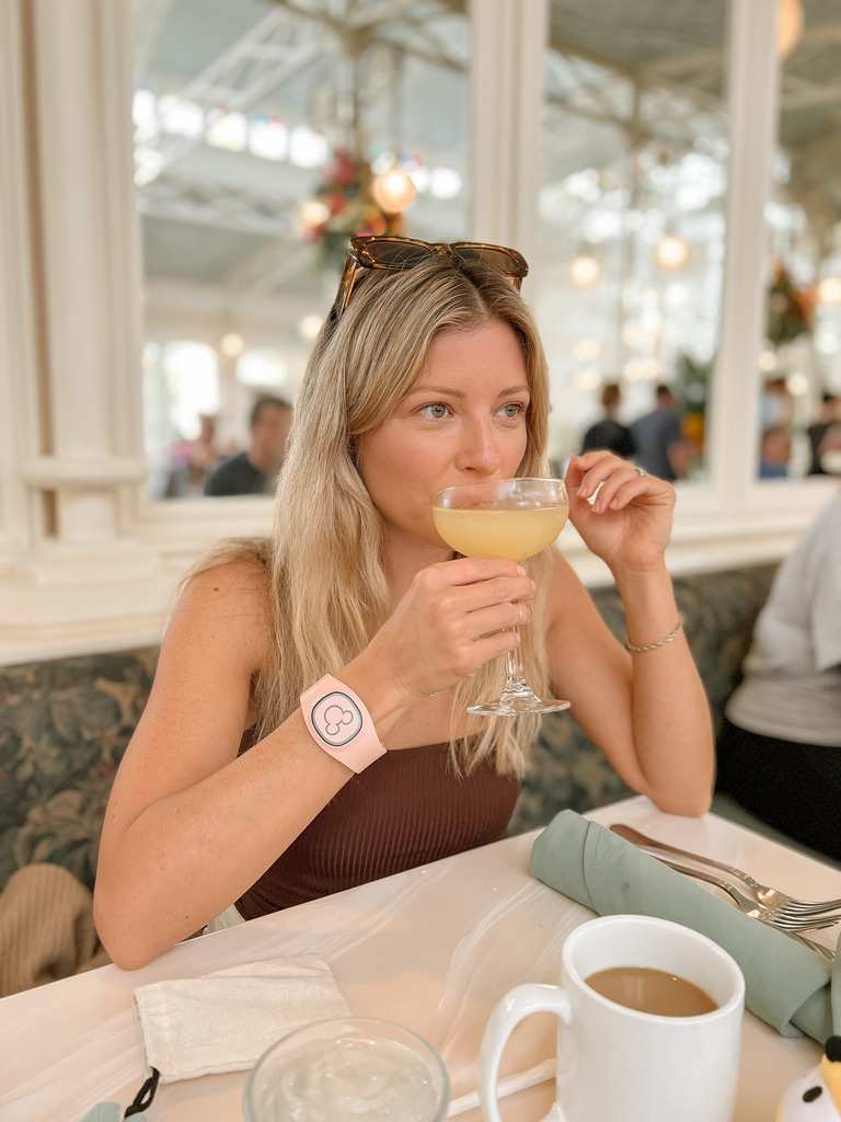 Disney World character dining, Disney World character dining list, best Disney World character dining, character dining in Disney World, best character dining in Disney World