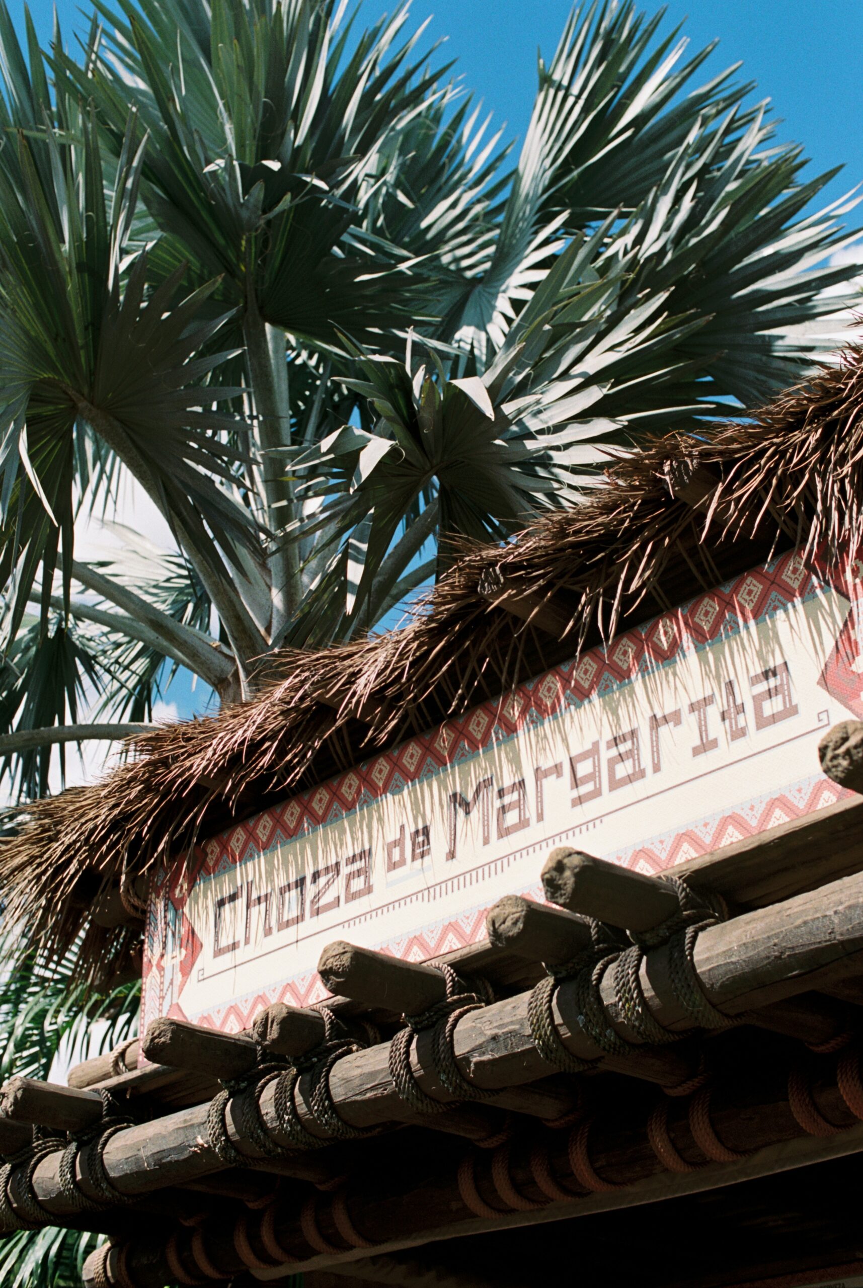 Disney trip planning, the magic of 3, Disney World for families, plan a Disney World trip