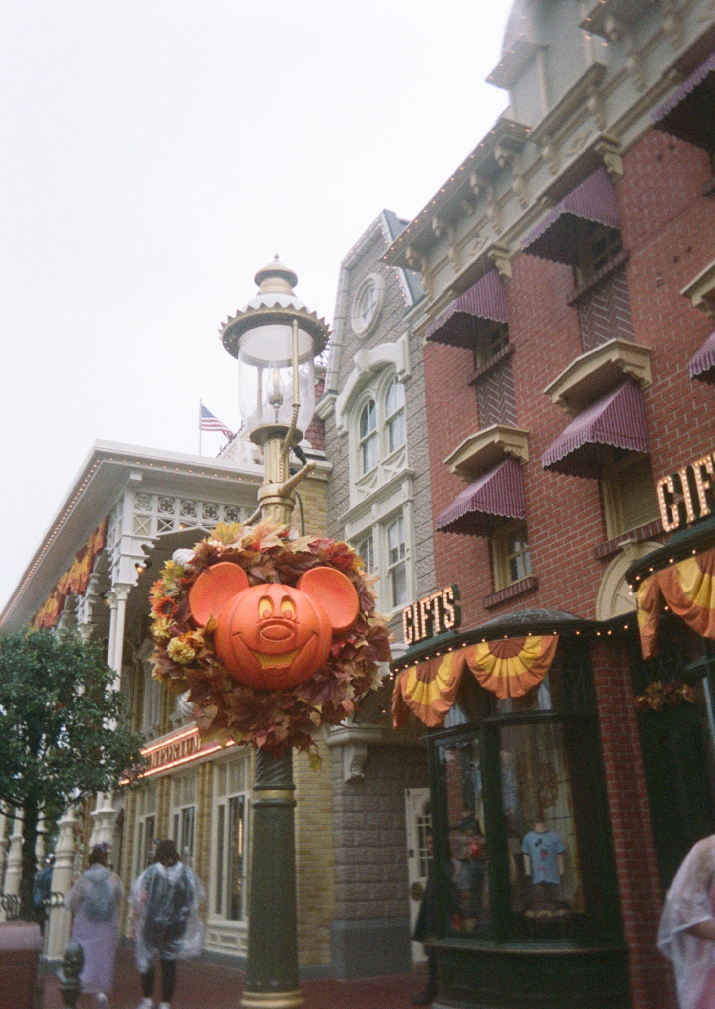 Halloween at Disney World, halfway to Halloween, Fall Disney World, Disney Halloween party